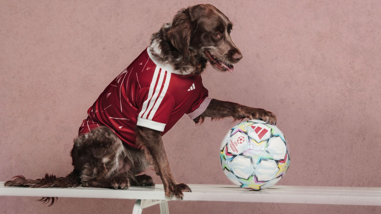 阿迪达斯推出 2026-27 赛季狗狗球衣,涵盖阿森纳等六大俱乐部